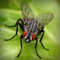/album/alnawalhe/photolia-a01-jpg/