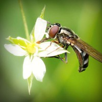 /album/alnawalhe/photolia-a02-jpg/