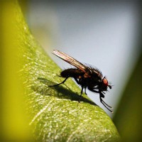 /album/alnawalhe/photolia-a04-jpg/