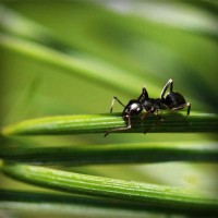 /album/alnawalhe/photolia-a05-jpg/