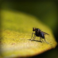 /album/alnawalhe/photolia-a07-jpg/