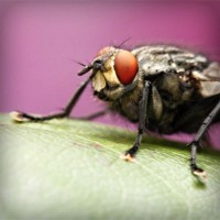 /album/alnawalhe/photolia-a08-jpg/